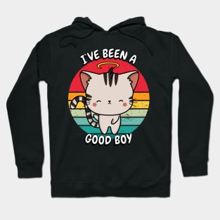 Cute Tabby cat is a good boy Hoodie